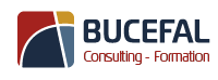 Bucefal • Consulting & Formation